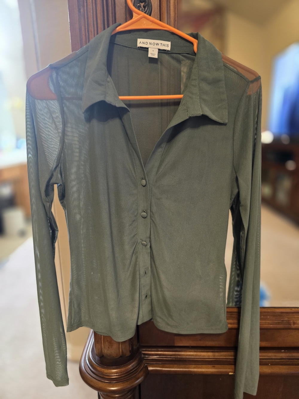 And Now This Olive Green Sheer Button-Front Shirt